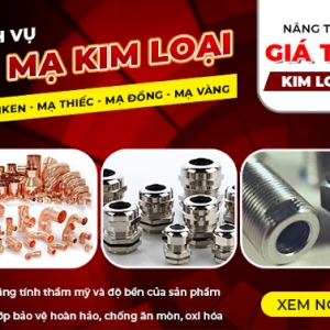 bao-gia-xi-ma